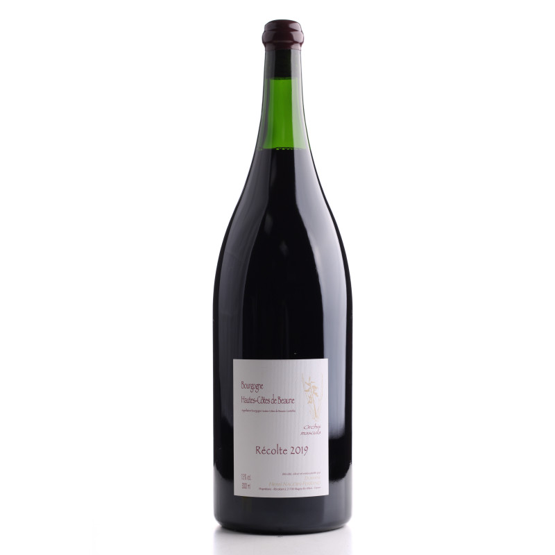 BOURGOGNE HAUTES-COTES DE BEAUNE ORCHIS MASCULA 2019 HENRI NAUDIN-FERRAND