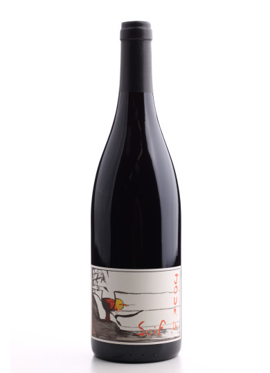 Bourgueil Jour de Soif 2022 Domaine du Bel Air | Achetezduvin.fr