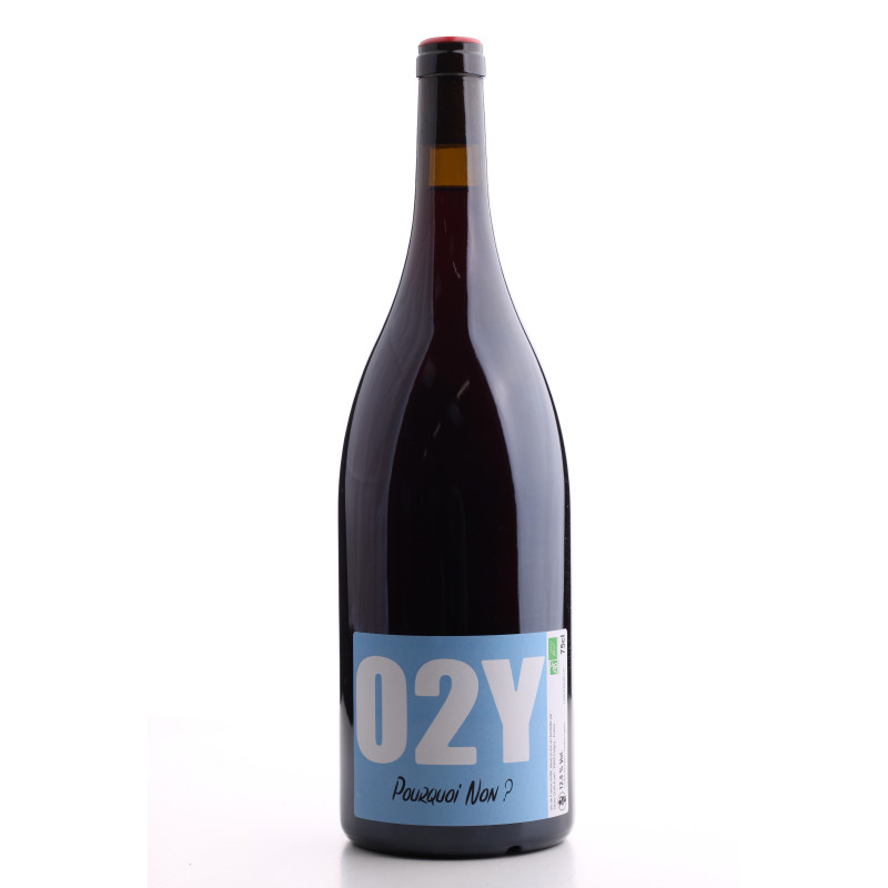 Vin de France Pourquoi Non 2021 – O2Y