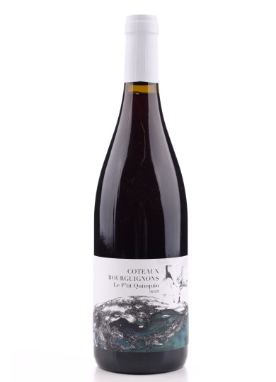 Coteaux Bourguignon Le Ptit Quinquin Domaine Didon 2022 | achetezduvin.fr