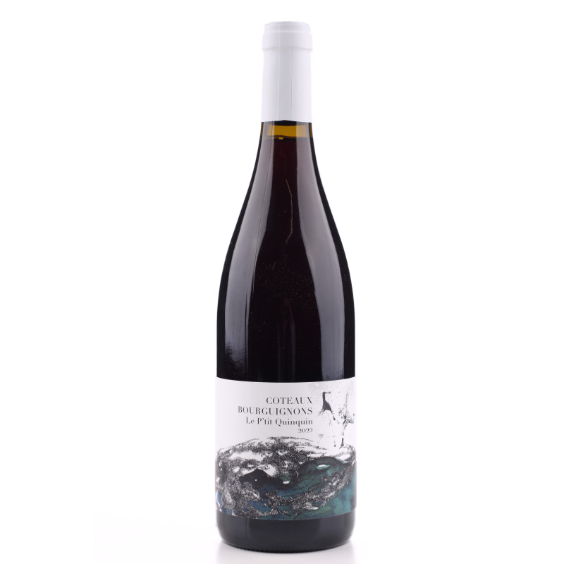 Coteaux Bourguignon Le Ptit Quinquin Domaine Didon 2022 | achetezduvin.fr