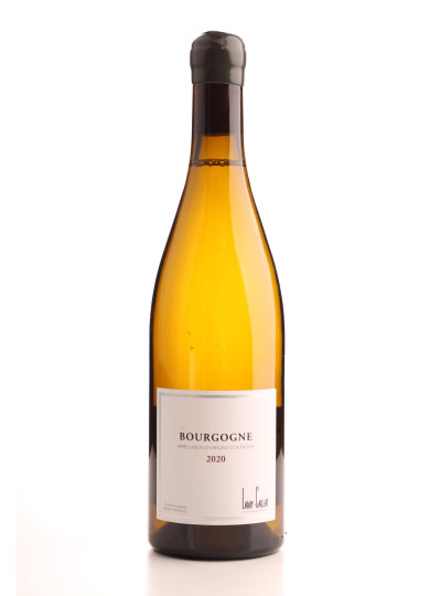 BOURGOGNE PINOT NOIR