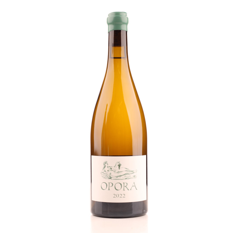 OPORA BLANC 2022 JOANNES VIOLOT GUILLEMARD