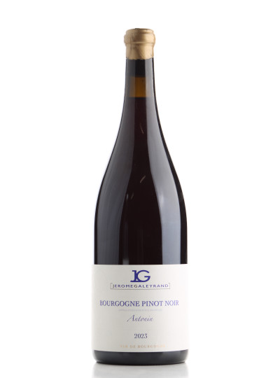 Bourgogne Pinot Noir Antonin 2023 - Jérôme Galeyrand - Achetezduvin.fr
