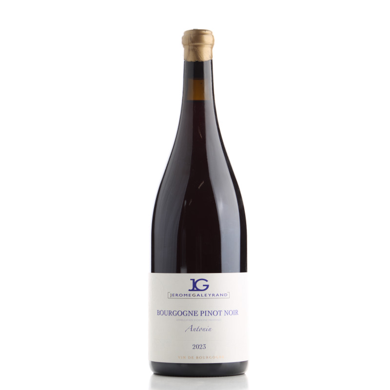 Bourgogne Pinot Noir Antonin 2023 - Jérôme Galeyrand - Achetezduvin.fr