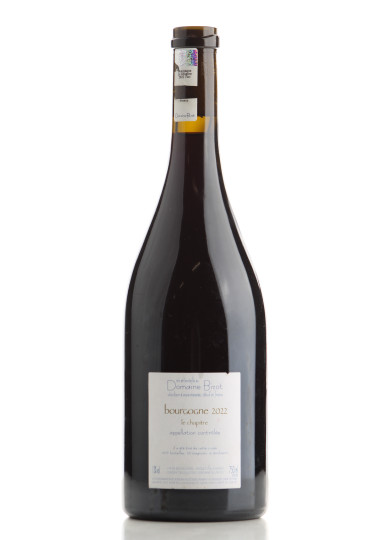 BOURGOGNE PINOT NOIR CHAPITRE 2022 BIZOT