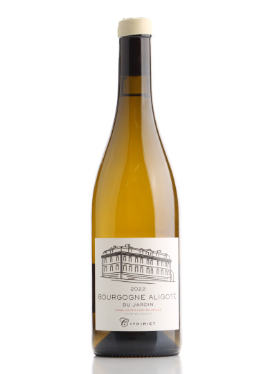 BOURGOGNE ALIGOTE CAMILLE THIRIET