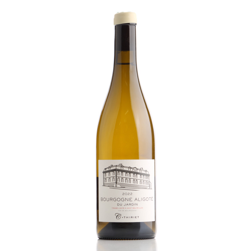 BOURGOGNE ALIGOTE 2022 CAMILLE THIRIET