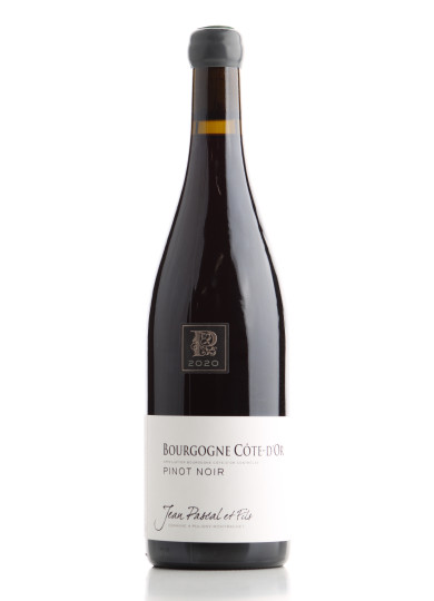 Bourgogne Côte d'Or Rouge 2020 - Jean Pascal et Fils | Achetezduvin