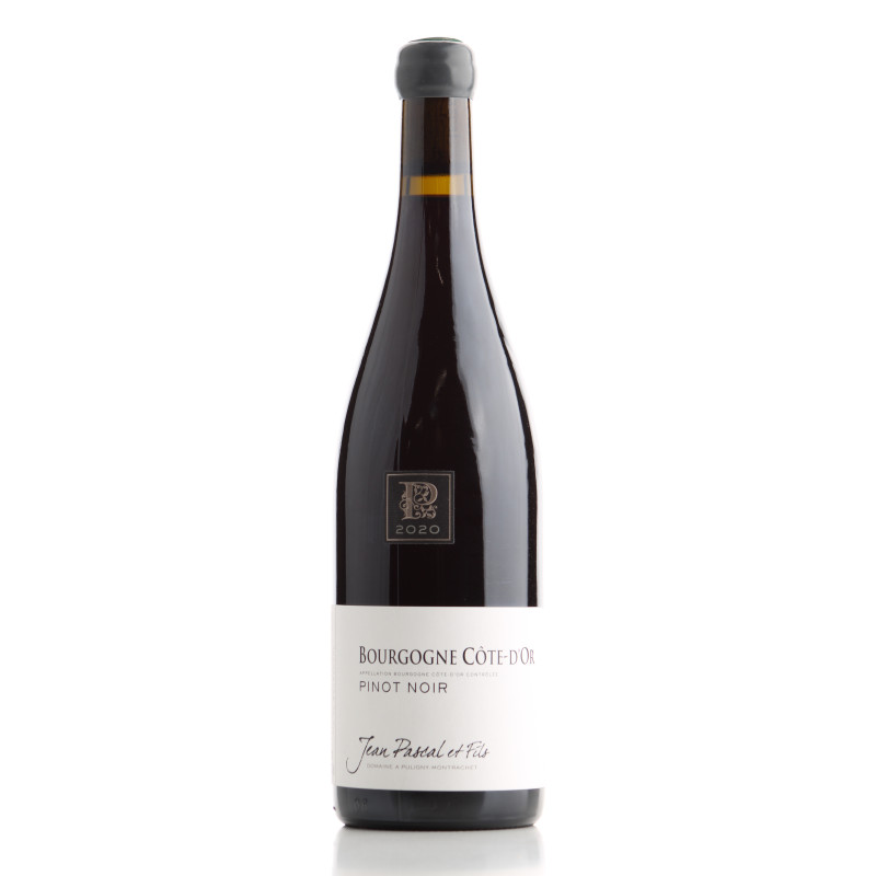 Bourgogne Côte d'Or Rouge 2020 - Jean Pascal et Fils | Achetezduvin