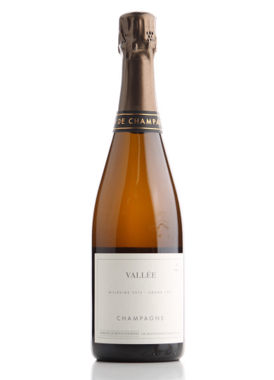CHAMPAGNE VALLEE AY GRAND CRU EXTRA BRUT MILLESIME 2013 MONTS FOURNOIS