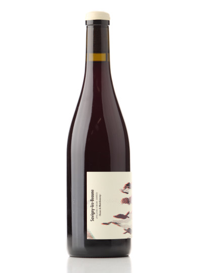 Savigny-lès-Beaune Dessus de Montchenevoy 2023 Chanterêves | Achetezduvin.fr