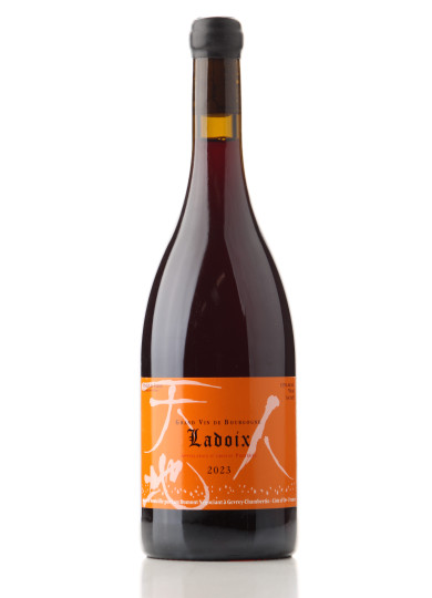 Ladoix Rouge 2023 Lou Dumont | Achetezduvin.fr