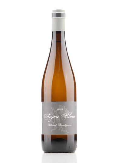 ANJOU BLANC 2023 THIBAUD BOUDIGNON