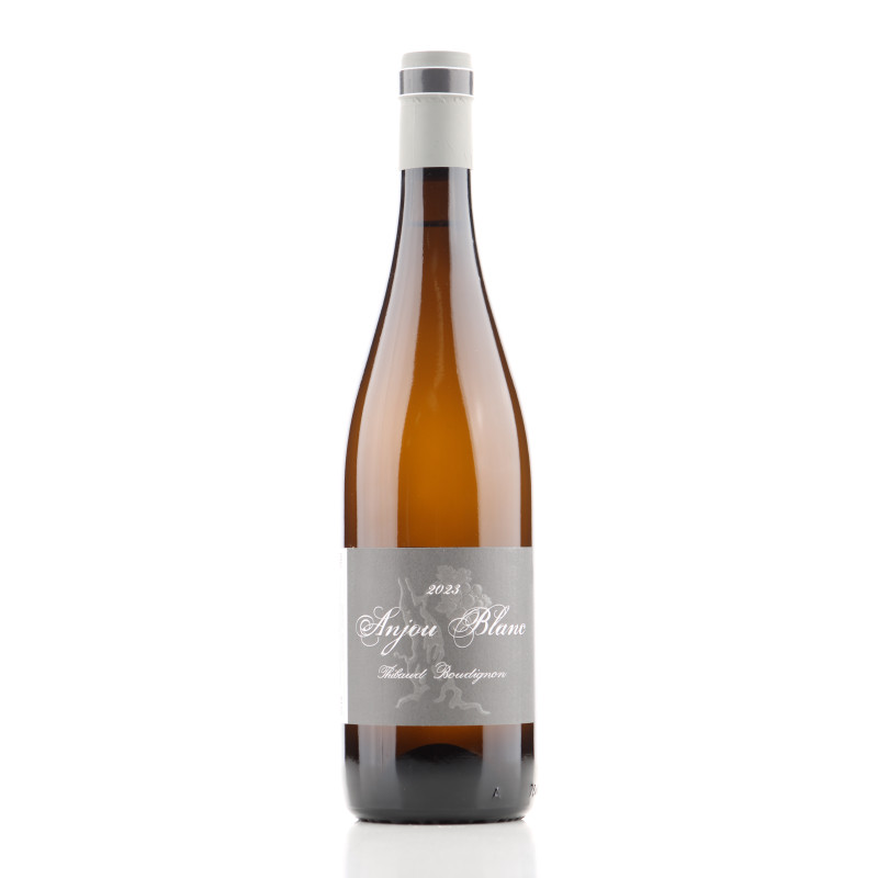 ANJOU BLANC 2023 THIBAUD BOUDIGNON