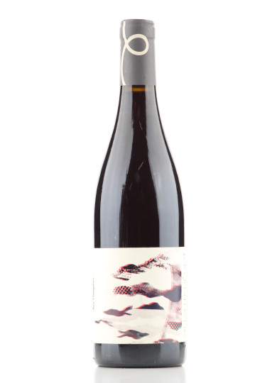 NUITS SAINT GEORGES 1ER CRU LES CHAIGNOTS 2020 CHANTEREVES