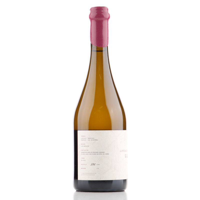 Coteaux Champenois Ullens 2019 Domaine de Marzilly | Achetezduvin.fr