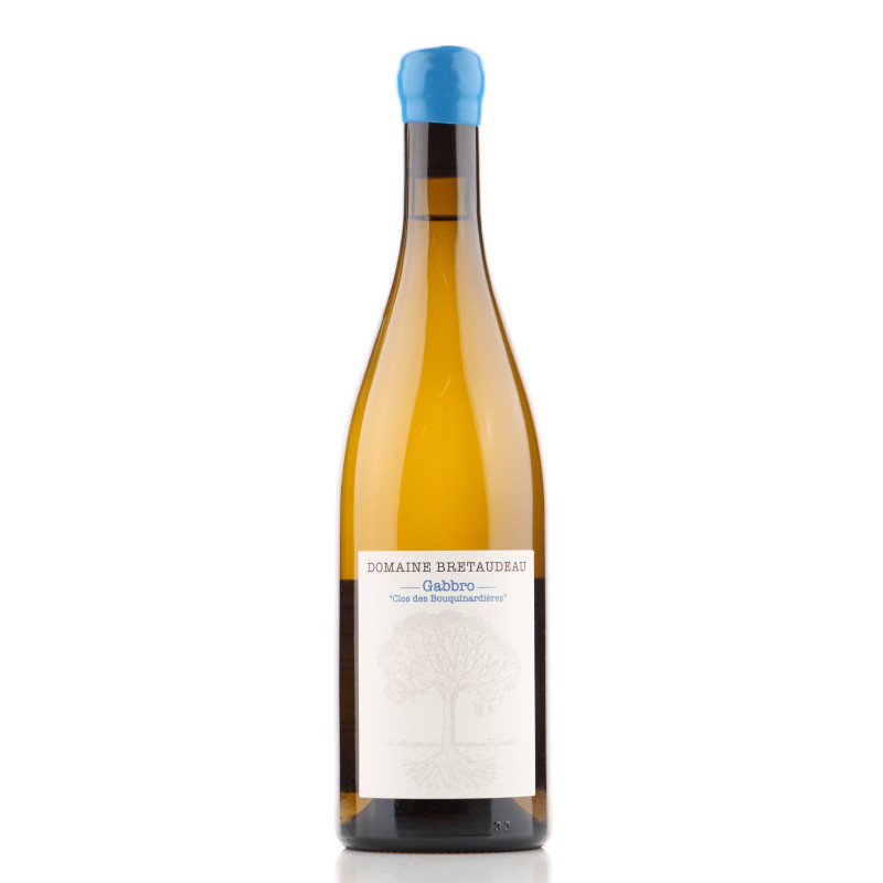 Muscadet Gabbro Clos des Bouquinardières 2022 - Bretaudeau