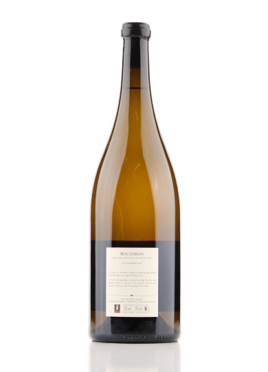 Bourgogne Pinot Noir 2022 Bouzeron - Dujardin