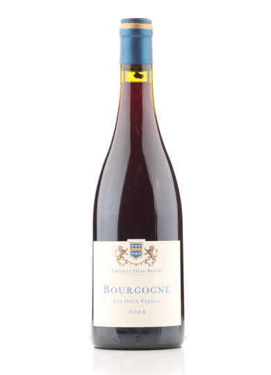 BOURGOGNE GAMAY LES DEUX TERRES 2014 THIBAUT LIGIER BELAIR