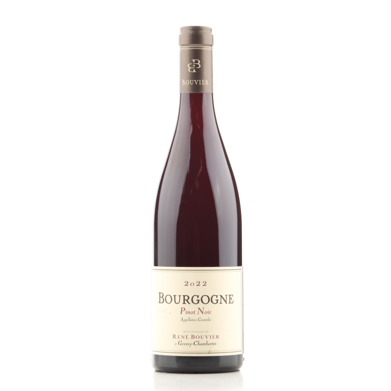 Bourgogne Pinot Noir 2022 - Domaine René Bouvier | Achetezduvin