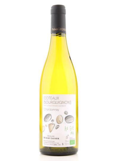 COTEAUX BOURGUIGNONS 2022 HUBERT LIGNIER