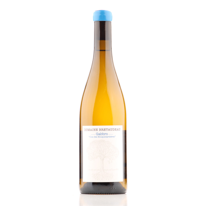 Muscadet Sèvre et Maine Gabbro Clos des Bouquinardières 2023 - Jérôme Bretaudeau | Achetezduvin