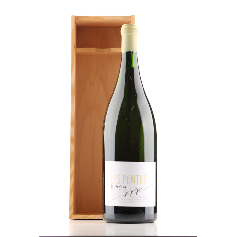 Saumur Les Pentes 2018 Clos de l'Ecotard Jeroboam | Achetezduvin